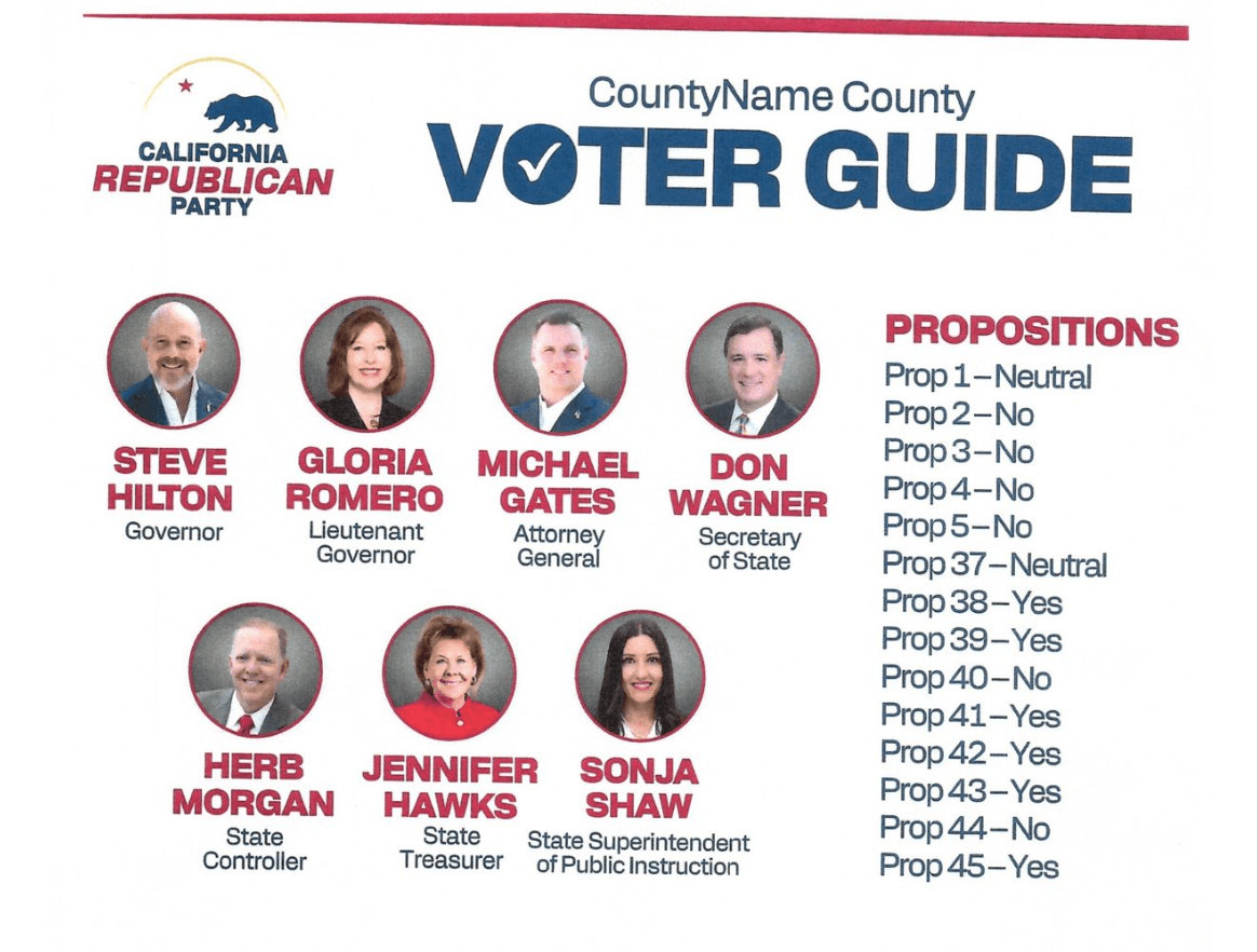 Voter Guide - Statewide